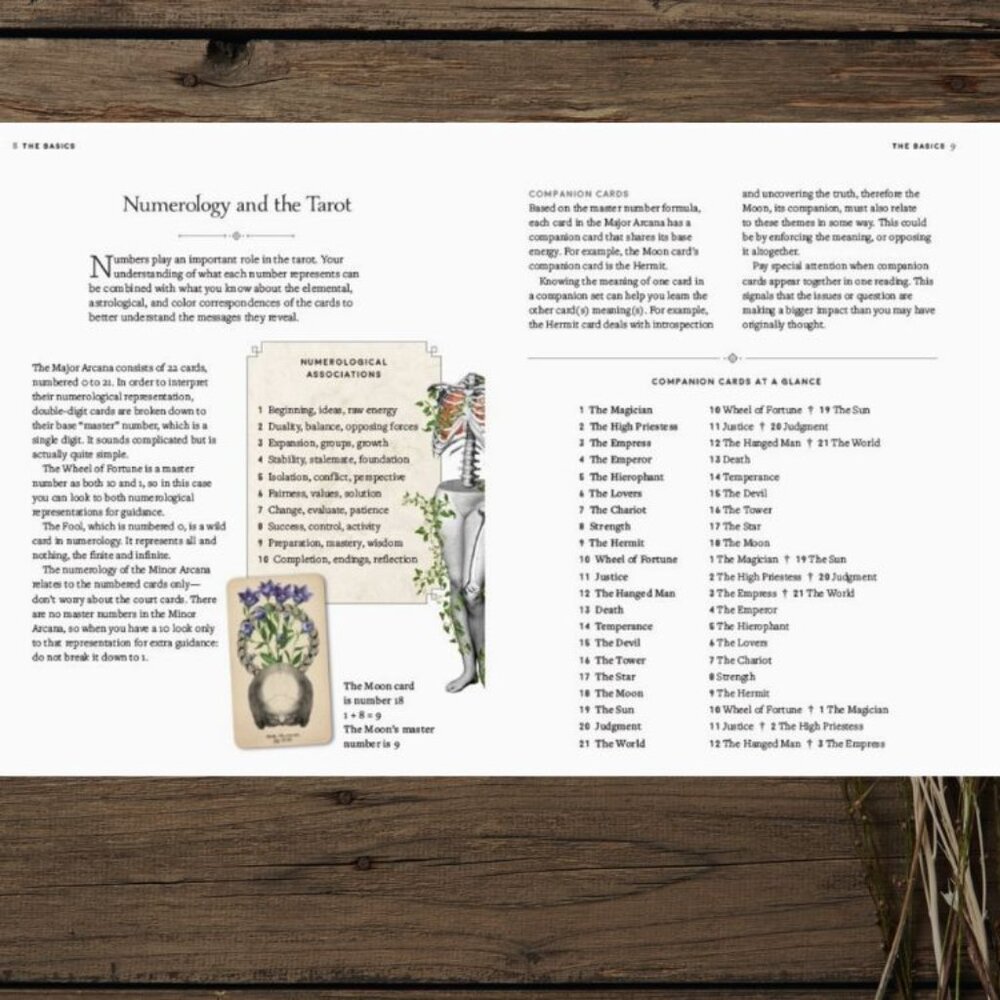 Antique Anatomy Tarot Deck | 78-Card Tarot with Guidebook | Gift Ready - Picture 13 of 16